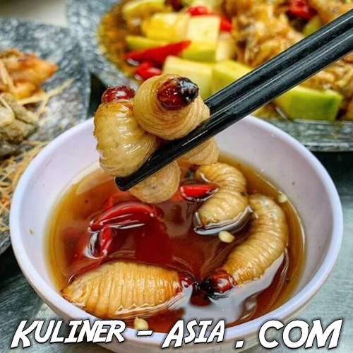 Ulat Sagu: Manfaat-Manfaat yang Terkandung dalam Ulat Sagu